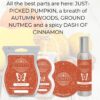 First Day of Fall Scentsy Fragrance 2 | First Day of Fall Scentsy Pods First Day of Fall Scentsy Fragrance 2 | First Day of Fall Scentsy Pods