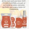 First Day of Fall Scentsy Fragrance 2