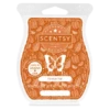 Harvest 2023 Scentsy Bar 5-pack