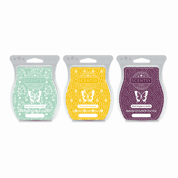 What Is A Scentsy Warmer? Get Started! What is a Scentsy Warmer? Get started!