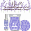 French Lavender Scentsy Bar
