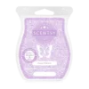 Fuzzy Blanket Scentsy Bar