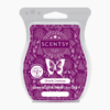 GHOSTLY GREETINGS SCENTSY BAR | Ghostly Greetings Scentsy Bar | Shop Scentsy | Incandescent.Scentsy.us GHOSTLY GREETINGS SCENTSY BAR | Ghostly Greetings Scentsy Bar | Shop Scentsy | Incandescent.Scentsy.us