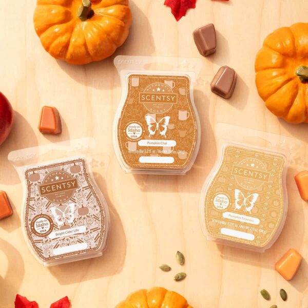 GOURDGEOUS PUMPKIN SCENTSY BAR HARVEST PAK 1 1