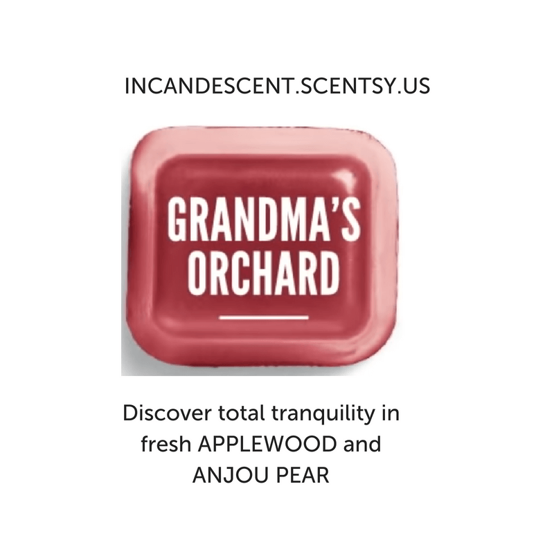 GRANDMA’S ORCHARD SCENTSY BAR