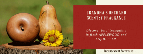 GRANDMA’S ORCHARD SCENTSY SCENT CIRCLE