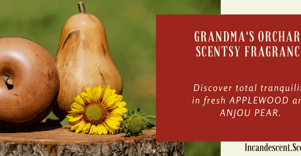 GRANDMA’S ORCHARD SCENTSY SCENT CIRCLE