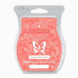 GRAPEFRUIT & GRENADINE SCENTSY BAR