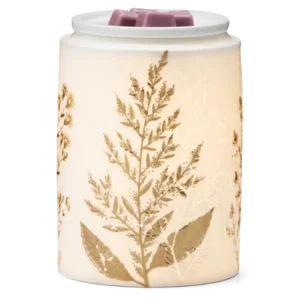 What is a Scentsy Warmer? Get started!