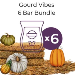 Gourd Vibes Scentsy 6 Bar Bundle