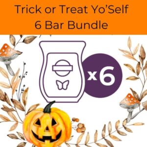 Trick or Treat Yo'Self Scentsy 6 Bar Bundle