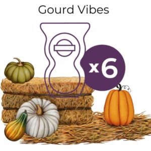 Gourd Vibes Scentsy 6 Pod Bundle