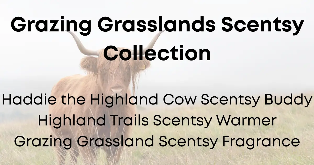 Grazing Grasslands Highland Cow Scentsy Warmer & Buddy | Shop 7/7