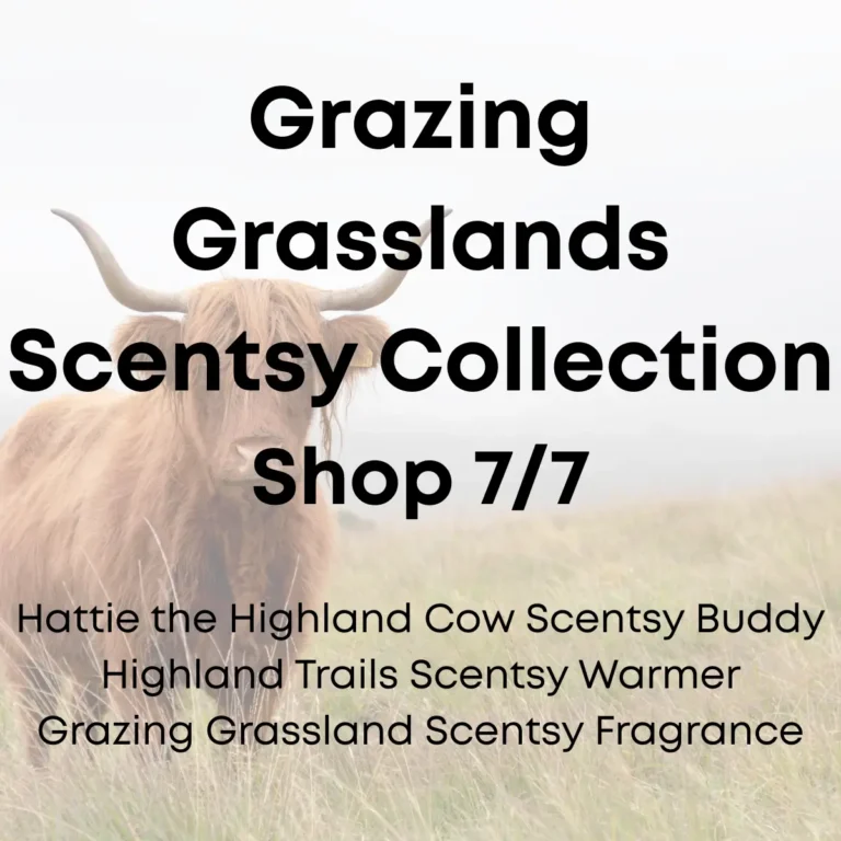 Grazing Grasslands Highland Cow Scentsy Warmer & Buddy | Shop 7/7