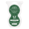 HAPPY HOLLY DAYS SCENTSY PODS | HAPPY HOLLY DAYS SCENTSY PODS | HOLIDAY 2020 HAPPY HOLLY DAYS SCENTSY PODS | HAPPY HOLLY DAYS SCENTSY PODS | HOLIDAY 2020