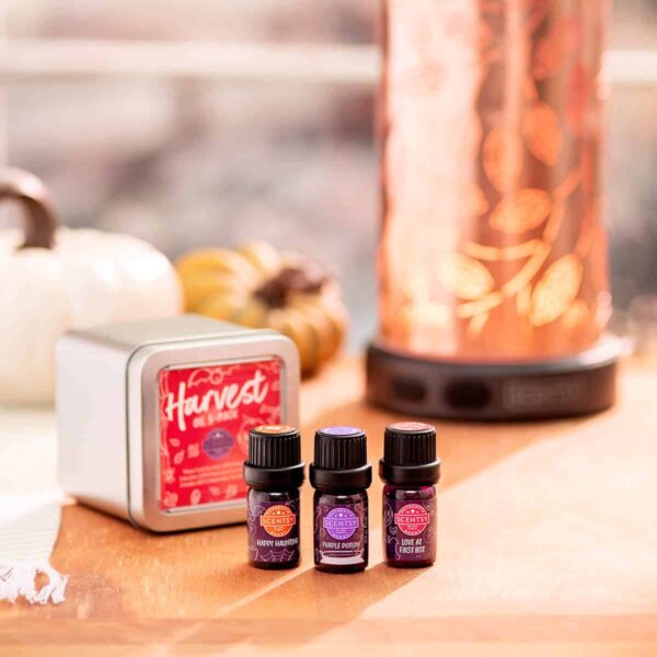 GIFT PACK OF 3 DIFFERENT SCENTSY HARVEST OILS