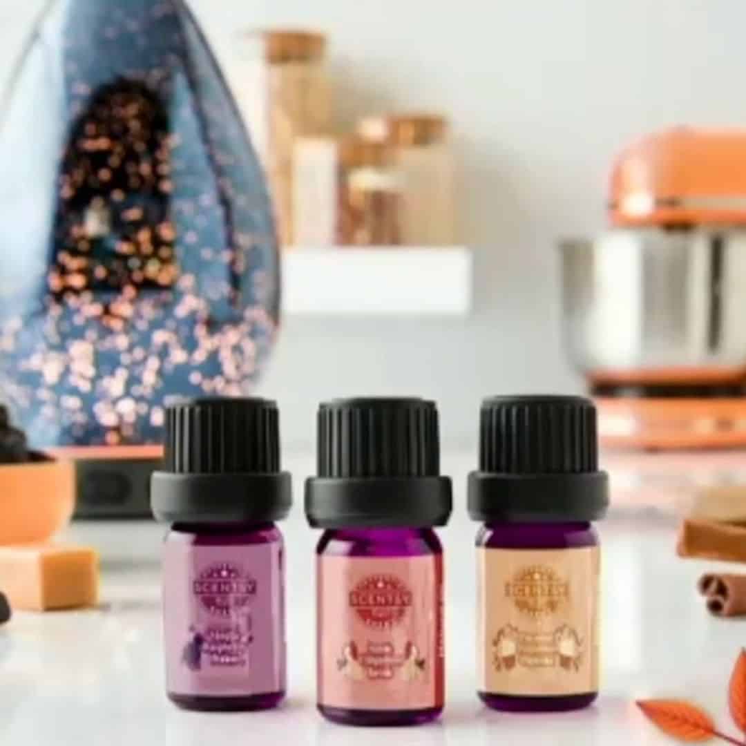 Scentsy 2022 Harvest Halloween Collection | Shop 9/1 Scentsy 2022 Harvest Halloween Collection | Shop 9/1
