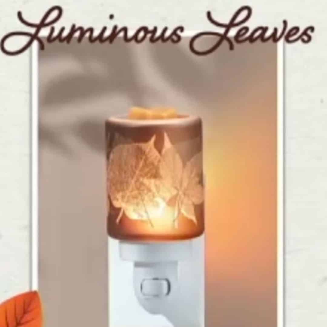 Scentsy 2022 Harvest Halloween Collection | Shop 9/1 Scentsy 2022 Harvest Halloween Collection | Shop 9/1