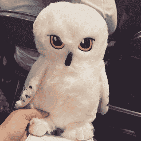 Harry Potter Scentsy Collection | Hogwarts Castle & Express Scentsy Warmer, Hedwig Buddy| Shop 9/1 Harry Potter Scentsy Collection | Hogwarts Castle & Express Scentsy Warmer, Hedwig Buddy| Shop 9/1