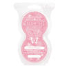 HIBISCUS PINEAPPLE SCENTSY PODS 1