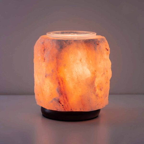 Pink Himalayan Salt Scentsy Warmer