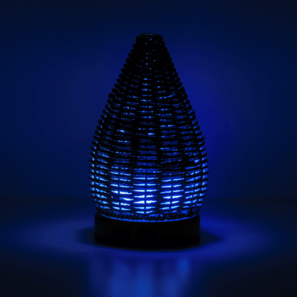 HOME Diffuser Wonder ENV Blue RA SS23