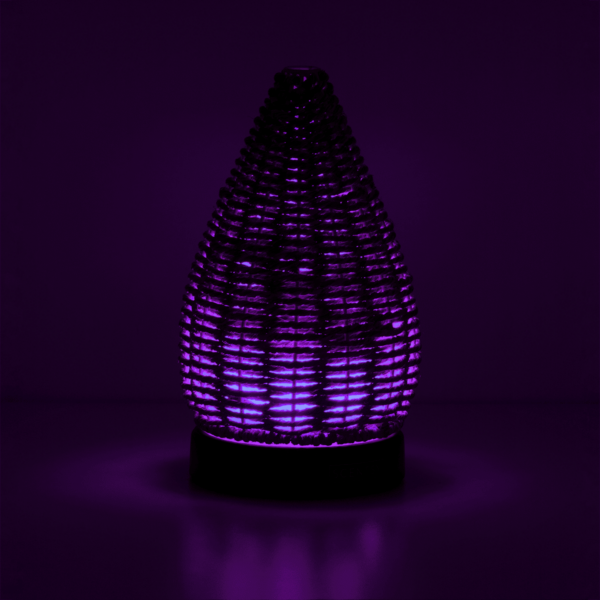 HOME Diffuser Wonder ENV Purple RA SS23