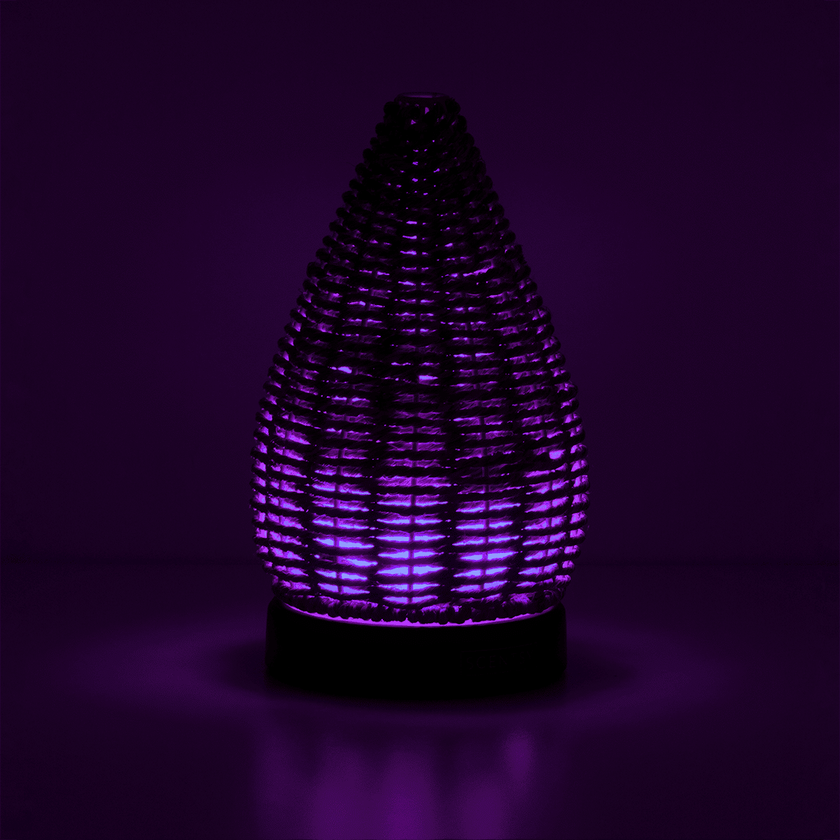 HOME Diffuser Wonder ENV Purple RA SS23