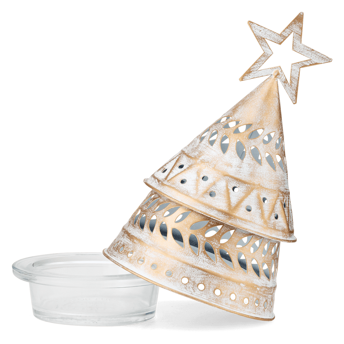 HOME Warmer FestiveFir ISO Dish Lid R1 FW22
