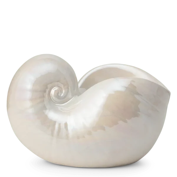 Nautilus Seashell Scentsy Warmer - April 2026 Coastal Collection