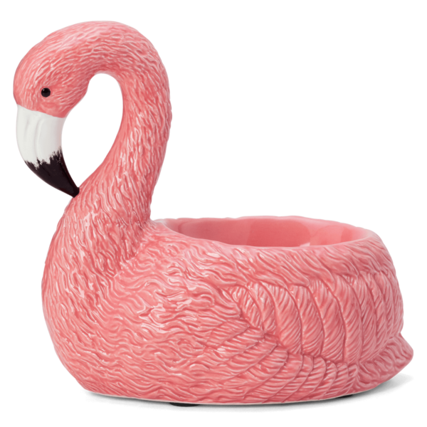 Home Warmer Pinkflamingo Iso R1 Ss23 HOME Warmer PinkFlamingo ISO R1 SS23