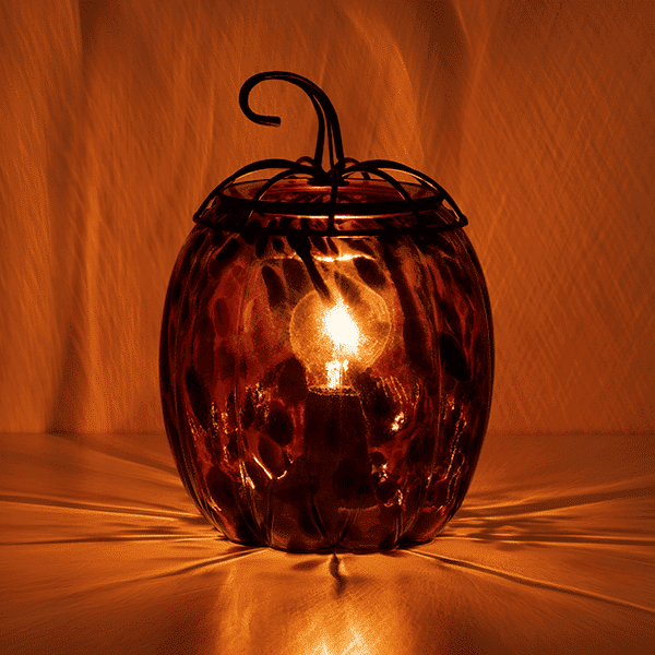 HOME Warmer TigersEyePumpkin ENV Dark R1 FW22 1