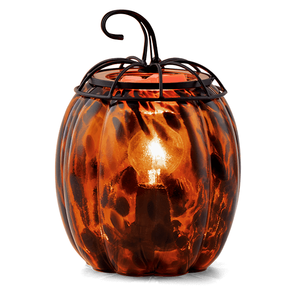 HOME Warmer TigersEyePumpkin ISO Glow Wax R1 FW22 1