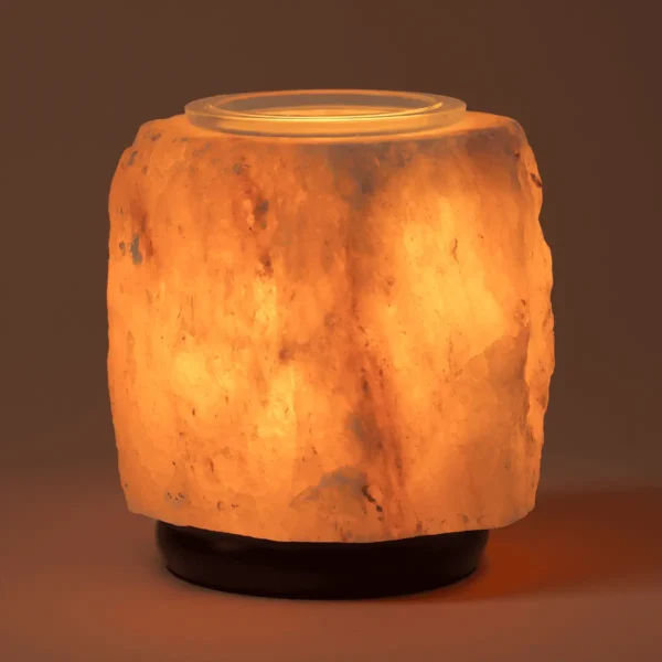 Pink Himalayan Salt Scentsy Warmer