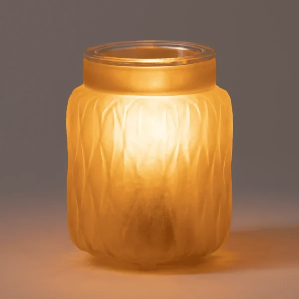 Homewarmersofthoneypackshotdarkr12026Pws_Highres Soft Honey Scentsy Warmer