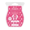 Happy Birthday Scentsy Bar