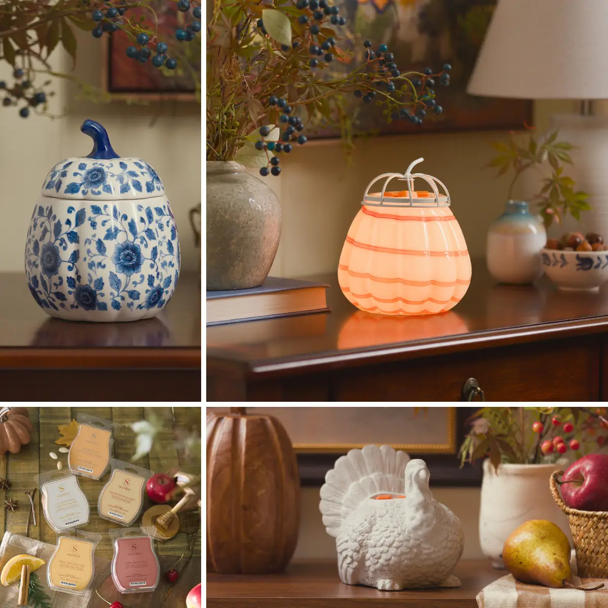 Scentsy | Shop Wax Warmers & Fragrance products