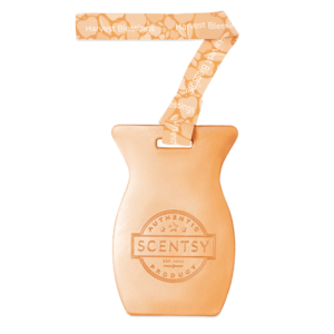 Harvest Blessings Scentsy Car Bar