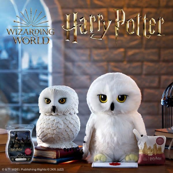 1200x1200 SS23 HarryPotter HogwartsWarmer R13 1