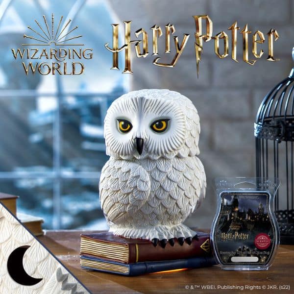 1200x1200 SS23 HarryPotter HogwartsWarmer R13 1