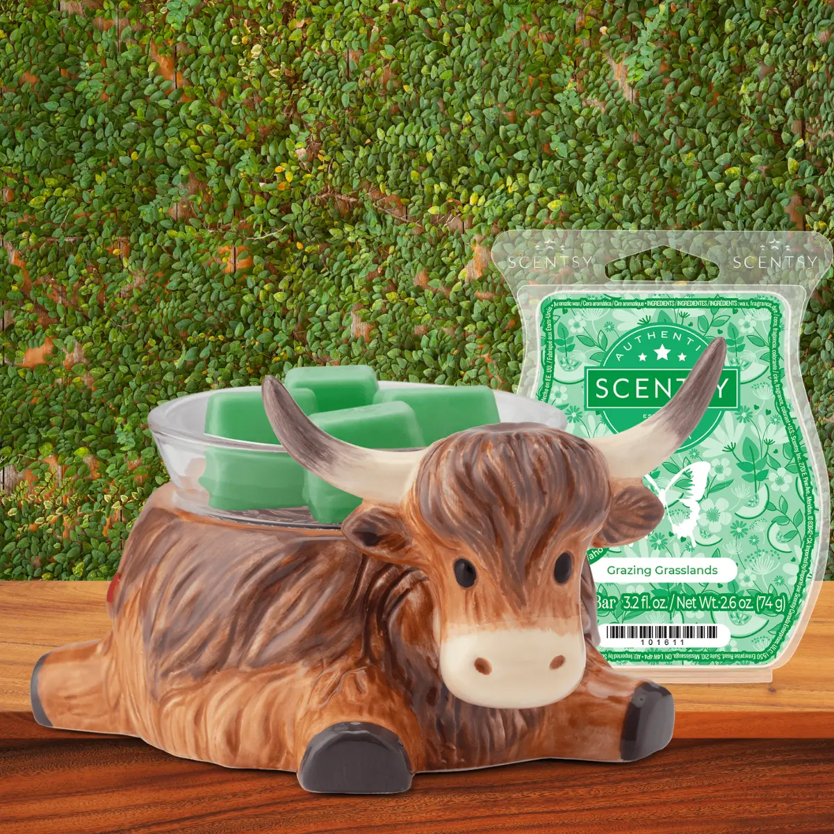 Highland Cow Scentsy Warmer & Buddy | Shop Grazing Grasslands