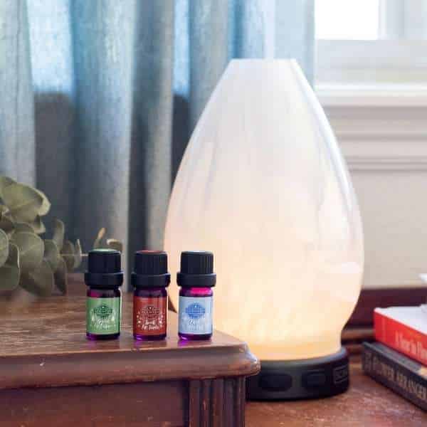 Holiday Diffuser