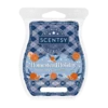 Scentsy Scents of the Season 2023 Bar Bundle