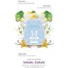 INHALE EXHALE SCENTSY FRAGRANCE