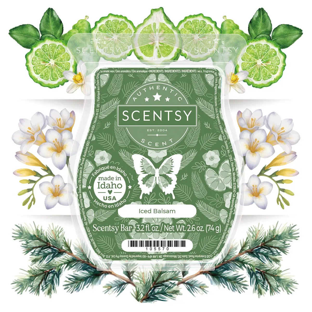 Scentsy December 2025 Warmer of the Month | Winter Crest & Iced Balsam
