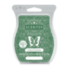 Icicles Evergreen Scentsy Bar | Icicles & Evergreen Scentsy Bar Icicles Evergreen Scentsy Bar | Icicles & Evergreen Scentsy Bar