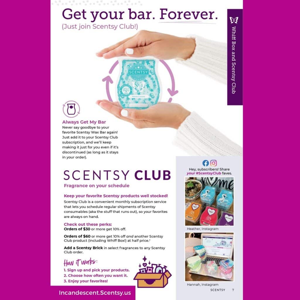 Scentsy Flyers 2025