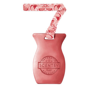 JOHNNY APPLESEED SCENTSY CAR BAR