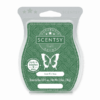 JUST FIR YOU SCENTSY BAR