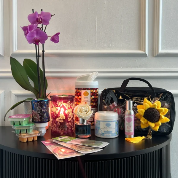 Scentsy Mystery Starter Kit  - 0 retail value USA